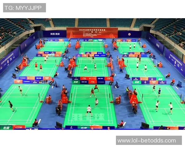 羽毛球的魅力与精神：深入西安羽毛球队的训练与文化探索